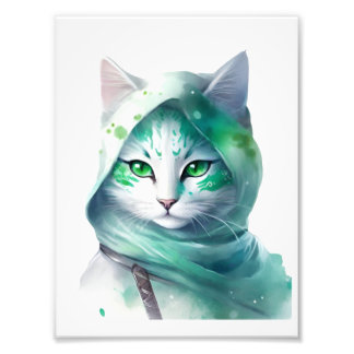 Foto Gato ninja