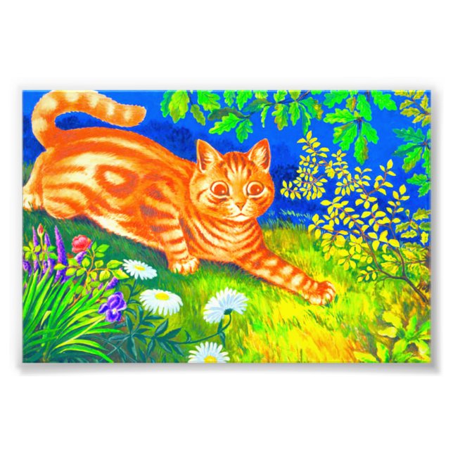 Foto Gato nocturno (Frente)