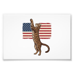 Foto Gato Patriótico Bandera Americana Diseño Vectorial