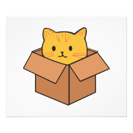 Foto Gato sentado dentro de la caja de cartón