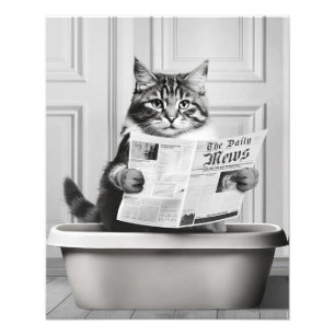 Foto Gato sentado en el inodoro, gato leyendo noticias