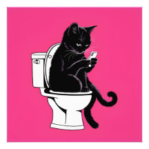 Gato sentado en un inodoro