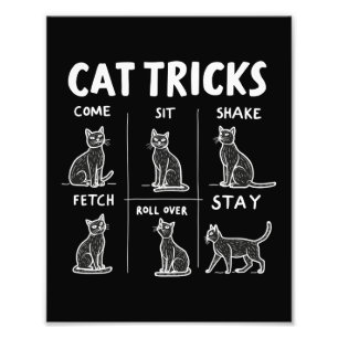Foto Gato trucos Purr-Fectamente Hilarious Feline Fun
