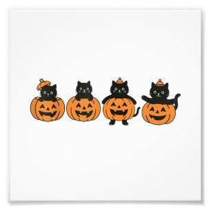 Foto Gato Vintage Años 90 Halloween Calabaza Gato Negro