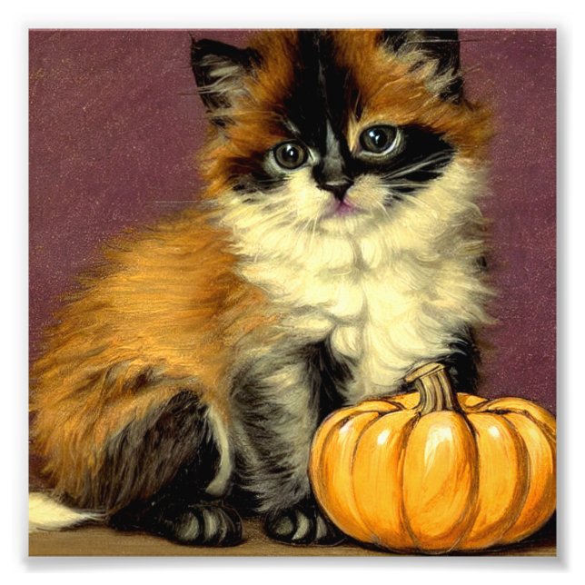 Foto Gato Vintage Ragdoll Halloween (Frente)