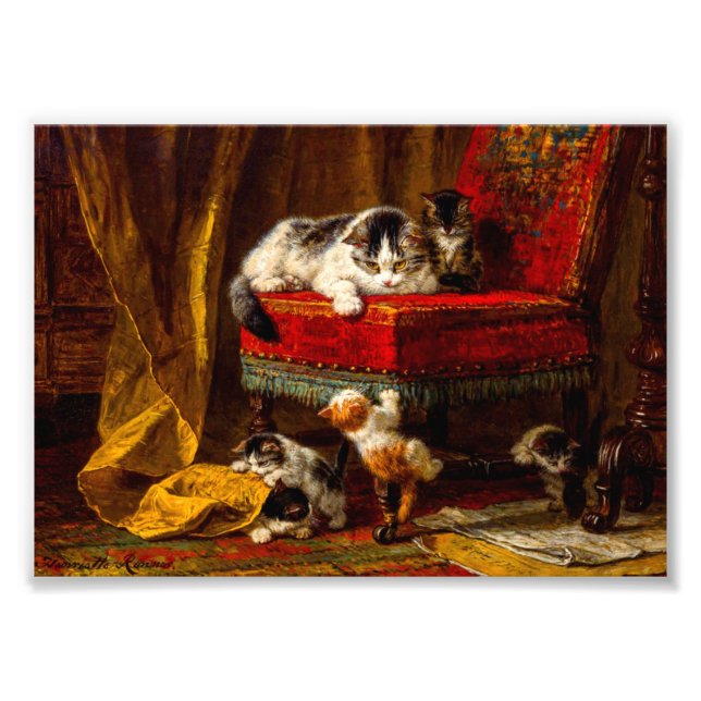 Foto Gato y gatitos jugando con silla (Frente)