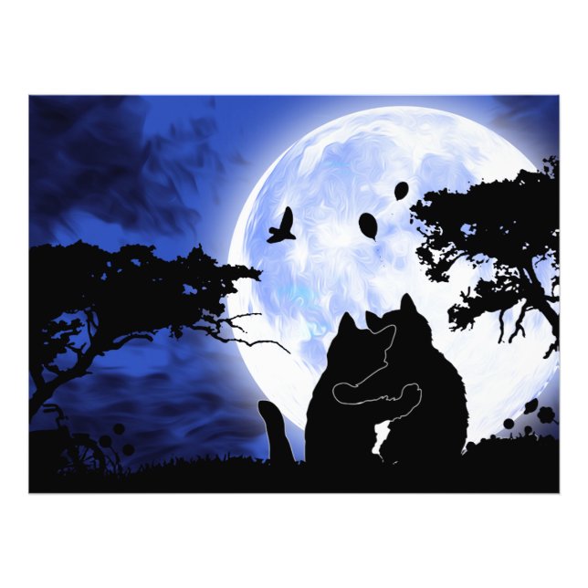 Foto gatos con luna llena (Frente)