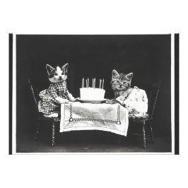 Foto Gatos de cosecha en una fiesta de cumpleaños