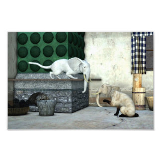 Foto Gatos elefantes adorables