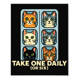 Foto Gatos En Blister Pack Medicamentos Para La Felicid