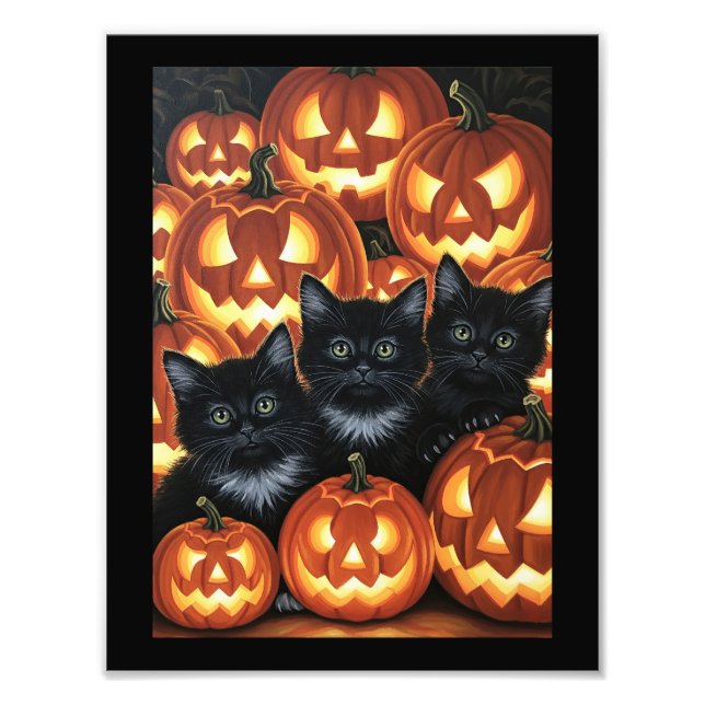 Foto Gatos negros y Jack O’Lanterns (Frente)