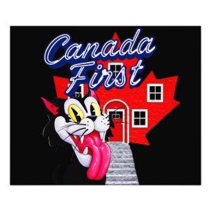 FOTO GATOS PRIMERO CANADÁ