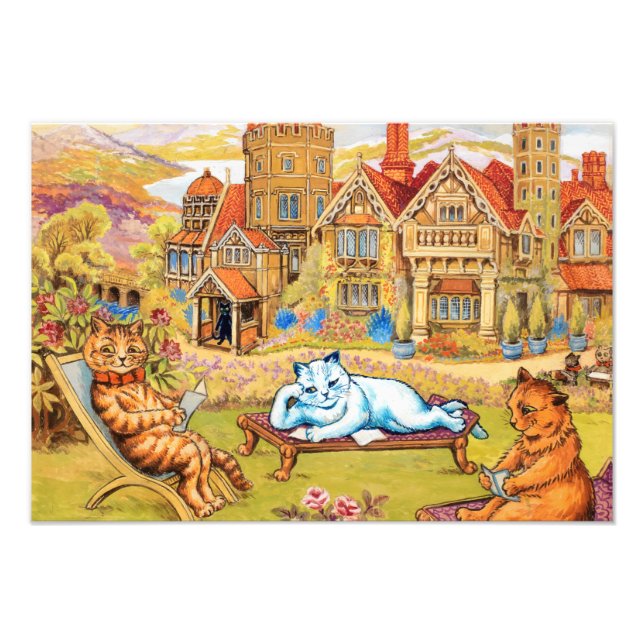 Foto Gatos relajándose en los jardines de Napsbury por  (Frente)