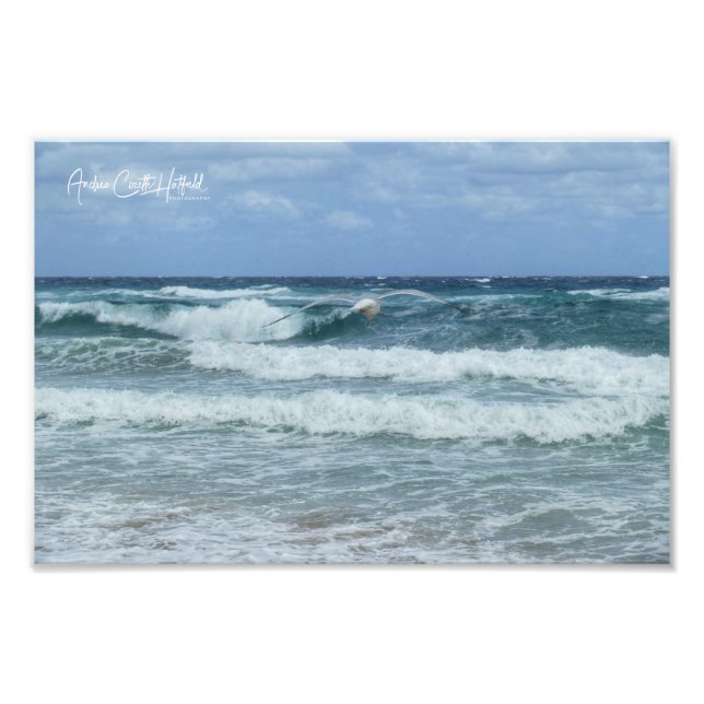 Foto Gava y Mar (Frente)