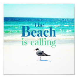 Foto Gaviota en la playa