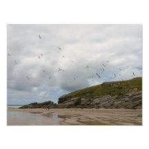 Gaviotas en el Cornwall de Porth Beach