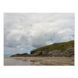 Foto Gaviotas en el Cornwall de Porth Beach