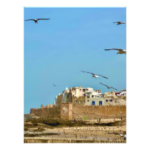 Gaviotas y la ciudad. - Essaouira, Marruecos