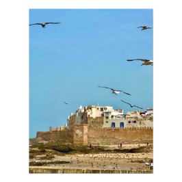 Foto Gaviotas y la ciudad. - Essaouira, Marruecos