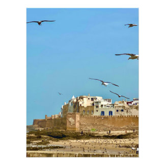Foto Gaviotas y la ciudad. - Essaouira, Marruecos
