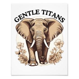 Foto Gentle Titans