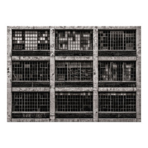 Foto Geometría No 15