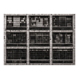Foto Geometría No 15