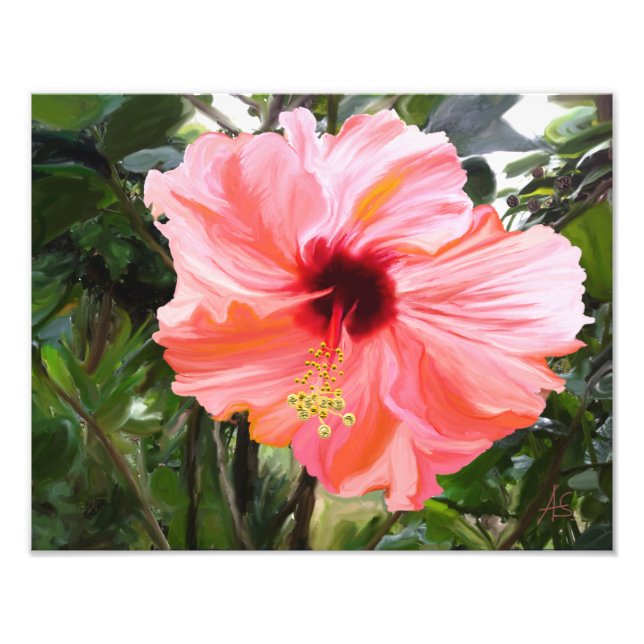 Foto Giant Hibiscus (Frente)