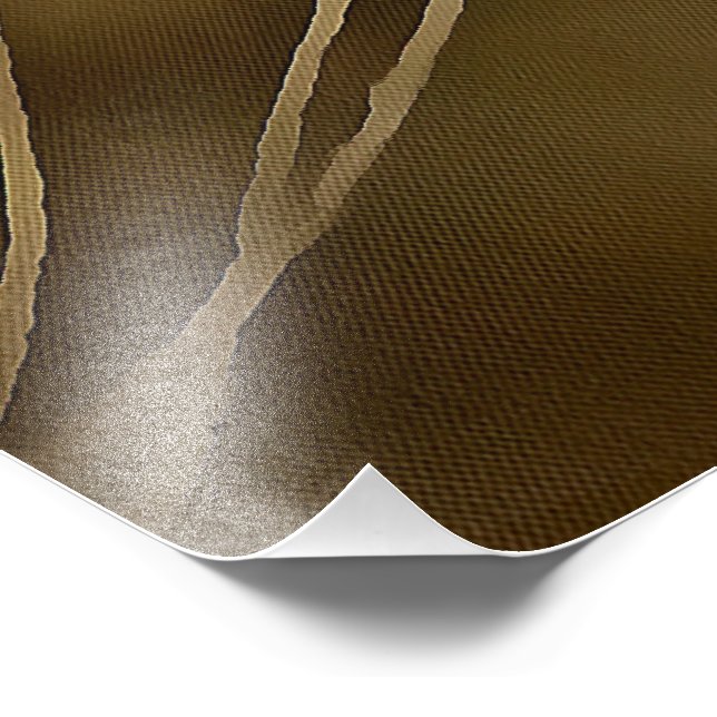 Foto Ginger Adorable Tabby Gato Posando Retrato Mascota (Esquina)