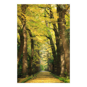 Foto Ginkgo Biloba