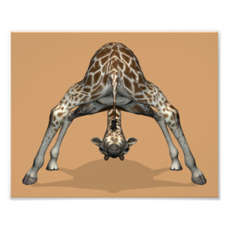 Foto Girafa flexible
