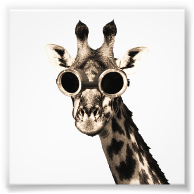 Foto Giraffe con gafas de sol de vapor (Frente)