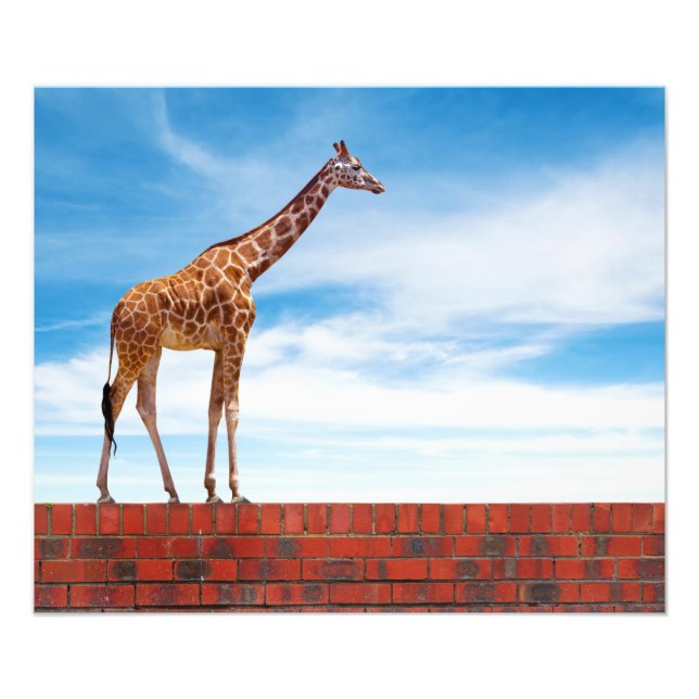 Foto Giraffe en la pared (Frente)