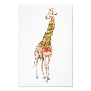 Foto Giraffe en una bufanda