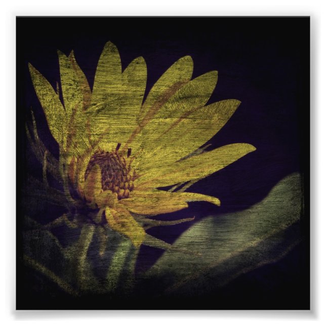 Foto Girasol salvaje (Frente)