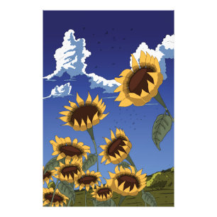 Foto Girasoles en verano