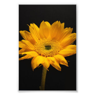 Foto Giro en negro - Gracioso regalo de los amantes del