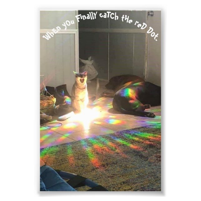 Foto Gloria (Frente)