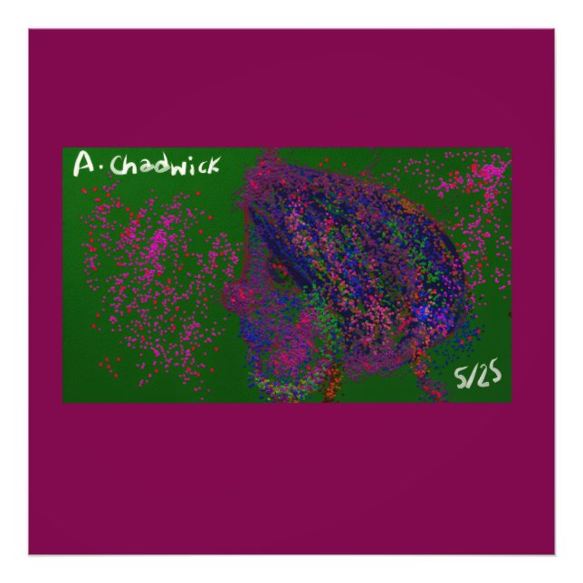 Foto Gnome Quilted Pattern  (Frente)