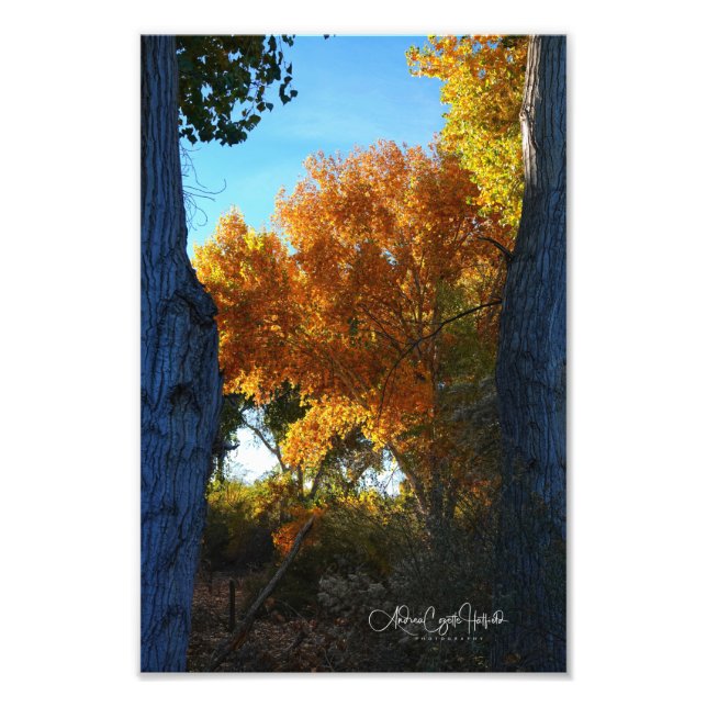 Foto Golden Arizona (Frente)