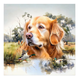 Foto Golden Retriever