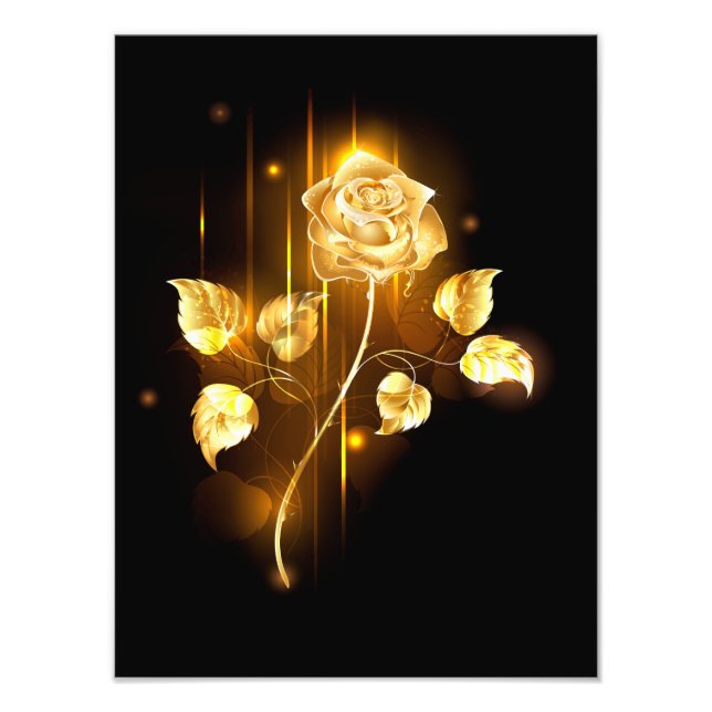 Foto Golden rose ( gold rose ) (Frente)