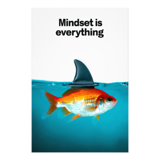 Foto Goldfish with Shark Fin