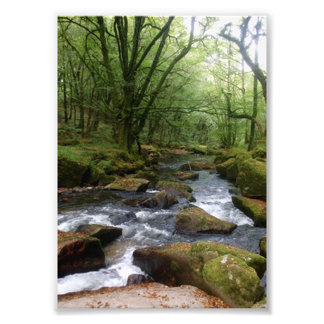 Foto Golitha Falls River Fowey Cornwall England (Frente)