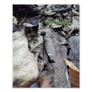 Foto Gorra de medianoche