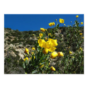 Foto Gould Mesa Trail, CA