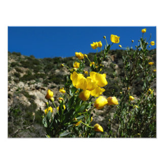 Foto Gould Mesa Trail, CA