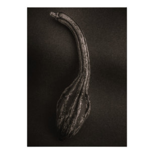 Foto Gourdes no 9