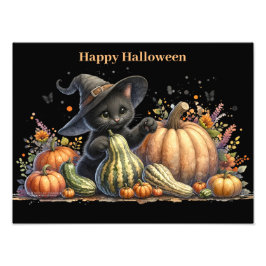 Foto Gourds de Halloween Black Witch's Kitten W/ Pumpki
