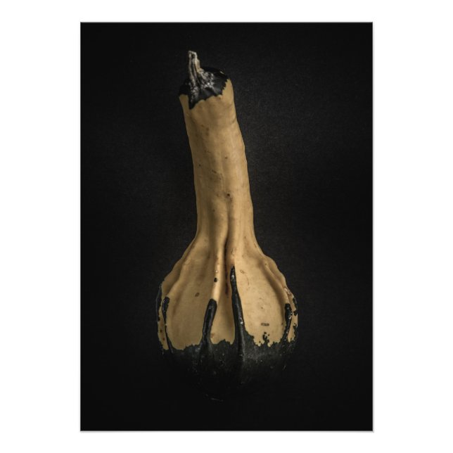 Foto Gourds No 5 Color Version (Frente)